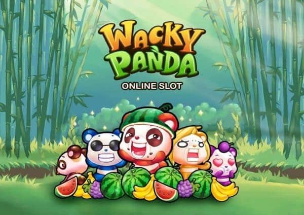 wacky-panda-slot-review